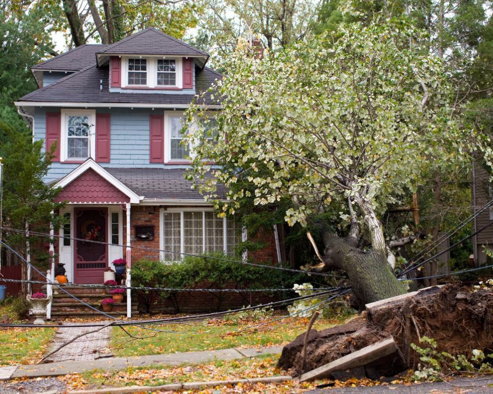 Čo robiť, ak vám sused spôsobil škodu na vašom pozemku?